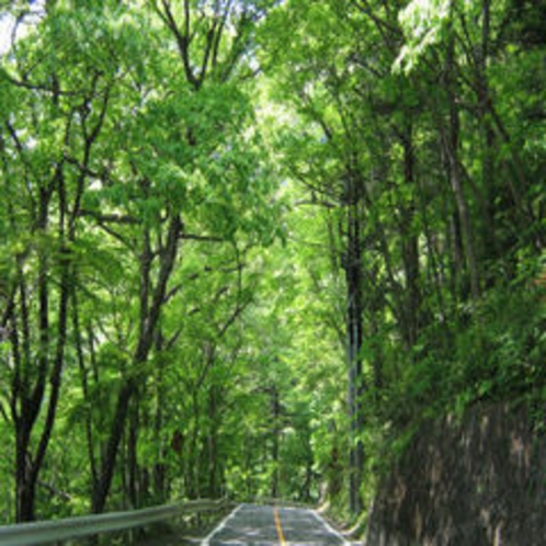塩原温泉 心づくしの宿 ぬりや 写真・動画【楽天トラベル】